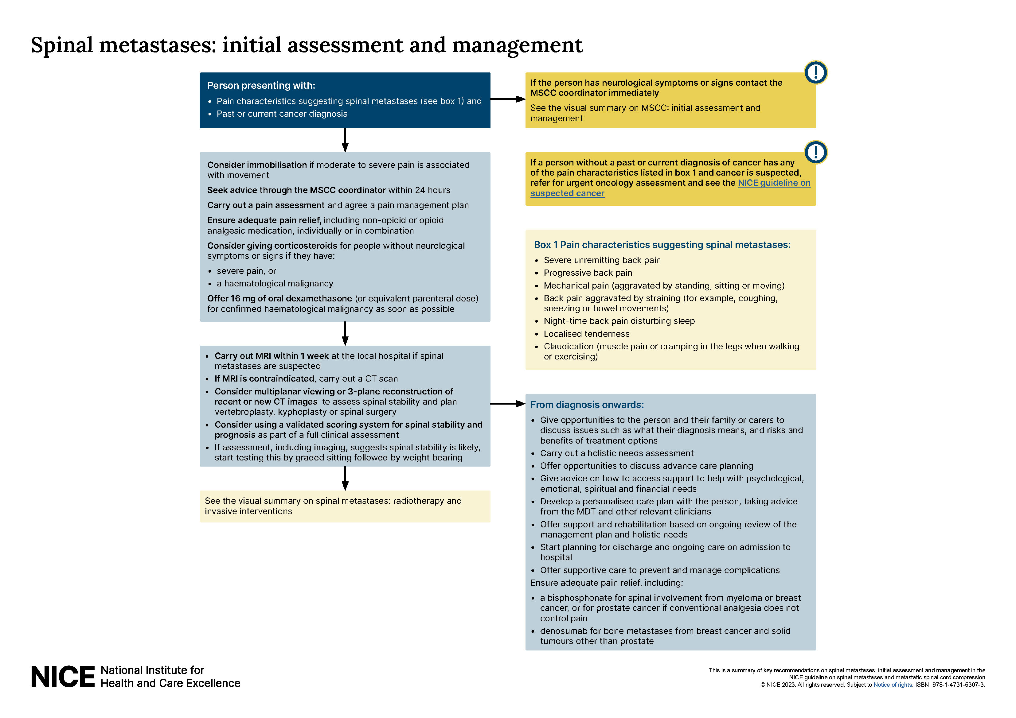 View visual summary on spinal metastases: initial assessment and management